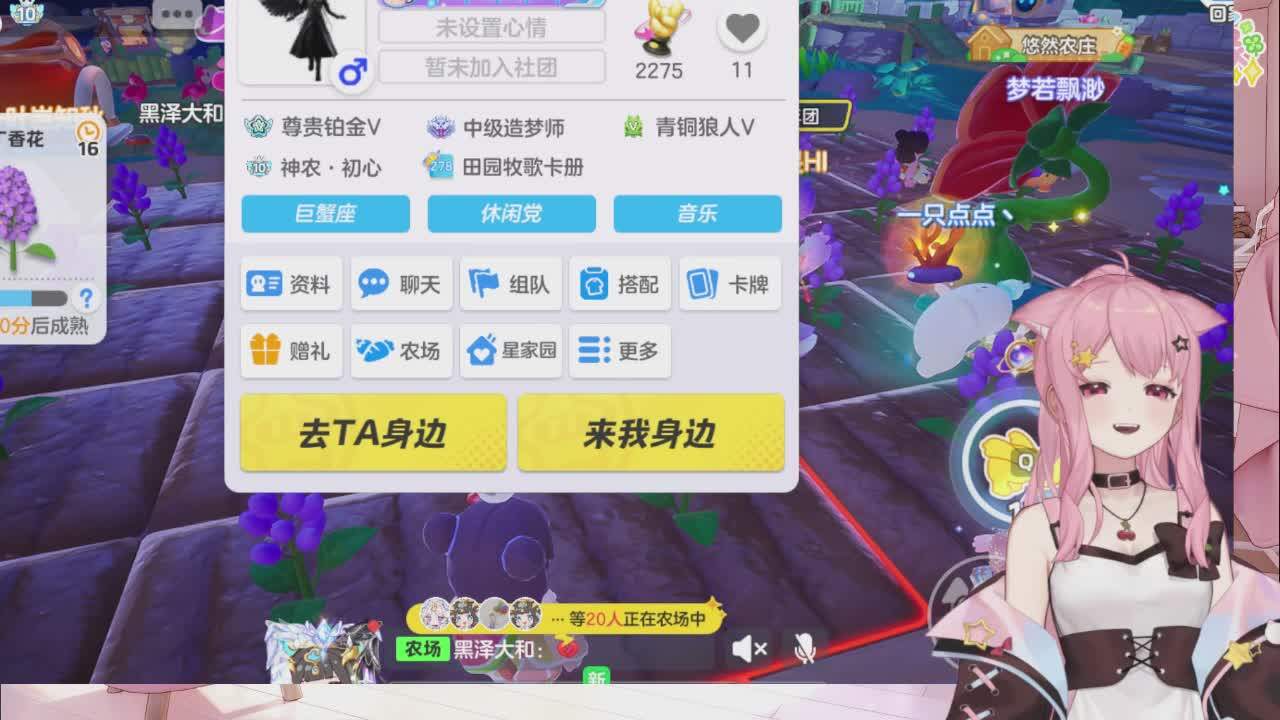 直播截图