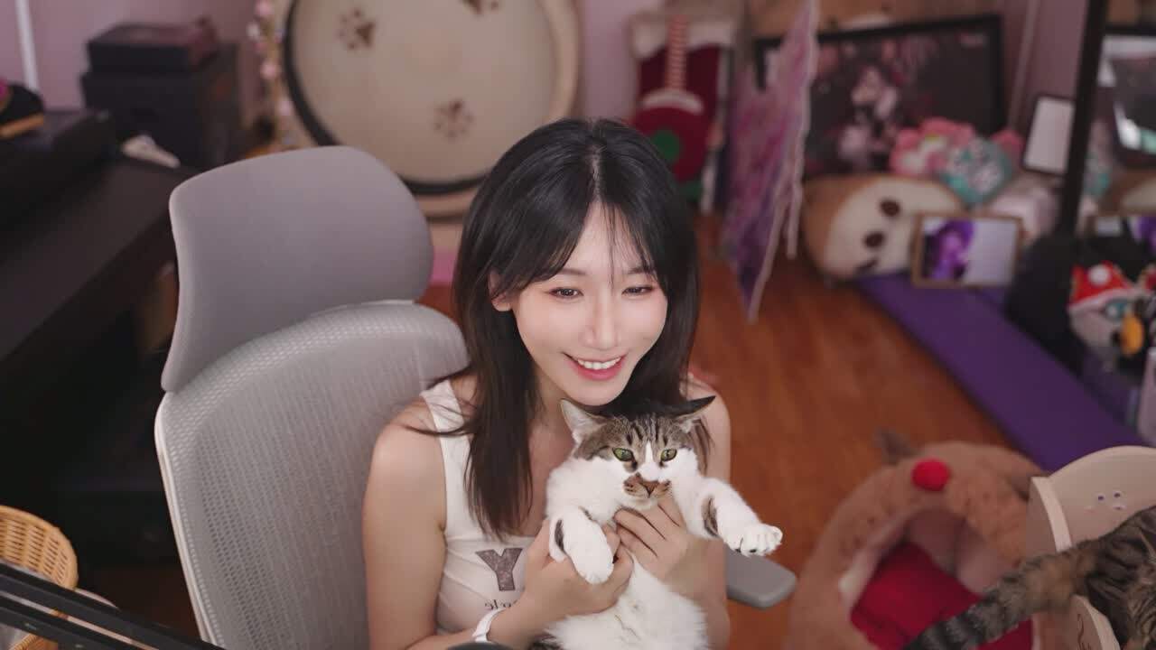 直播截图