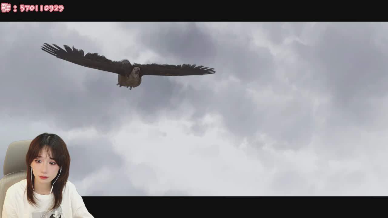 直播截图