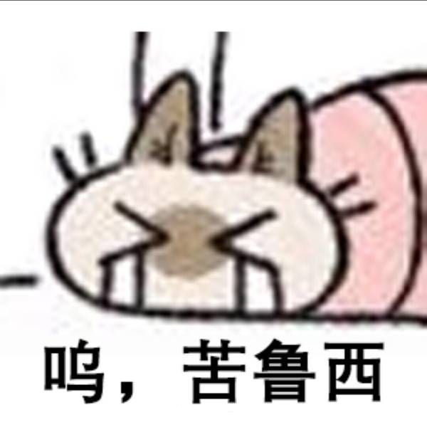 也许谈意义