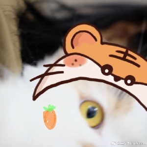 奕笙zlc