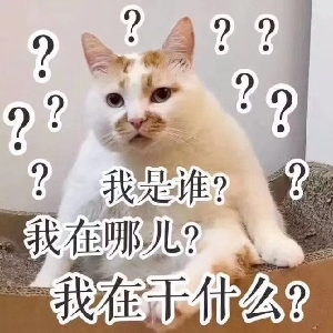 M奇