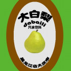 大白梨